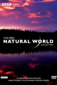 смотреть BBC: Живой мир