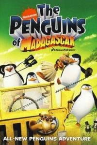 смотреть Пингвины из Мадагаскара