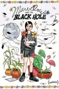 Marvelous and the Black Hole онлайн