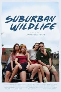 смотреть Suburban Wildlife