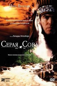 смотреть Серая сова