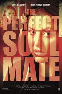 смотреть The Perfect Soulmate