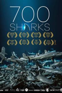 700 акул онлайн