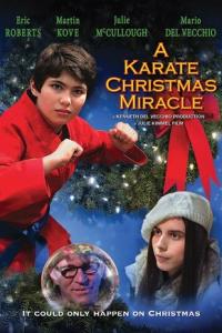 смотреть Рождественское чудо в стиле карате