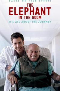 смотреть The Elephant in the Room