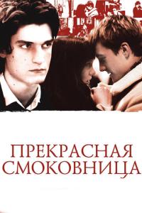 смотреть Прекрасная смоковница