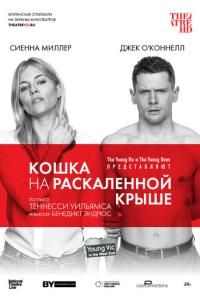 смотреть Кошка на раскалённой крыше