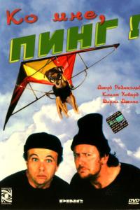 смотреть Ко мне, Пинг!