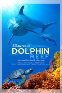 Дельфиний риф