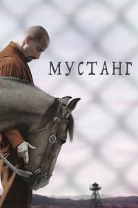 Мустанг онлайн