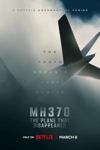 MH370: Самолёт, который исчез онлайн