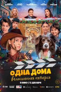 Одна дома: Великолепная пятерка онлайн