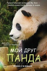 Мой друг панда онлайн