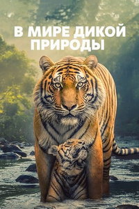 смотреть В мире дикой природы