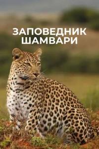 смотреть Заповедник Шамвари