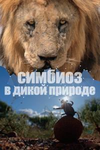 Симбиоз в дикой природе онлайн