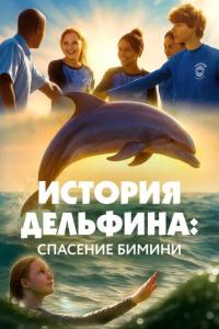 смотреть История Дельфина: Спасение Бимини