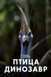 Птица-динозавр онлайн
