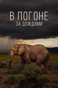 смотреть В погоне за дождями
