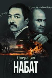 смотреть Операция «Набат»