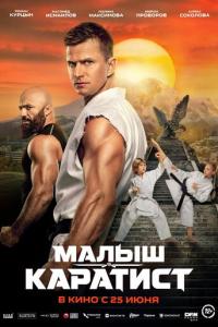 Малыш-каратист онлайн