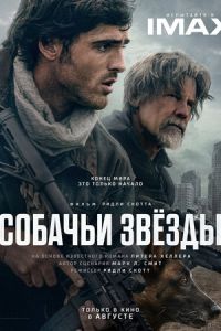 смотреть Собачьи звёзды