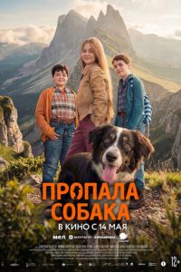 Пропала собака